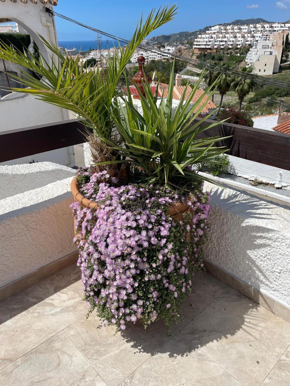 Villa Naricha 1 Menyber à Nerja Extérieur photo